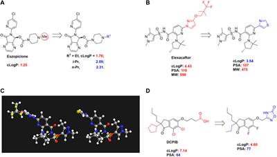 Pharmacological modulation of chloride channels as a therapeutic strategy for neurological disorders